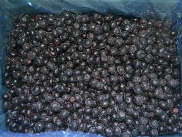 Blueberry